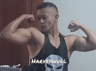 Harveywull