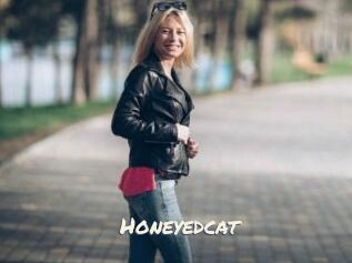 Honeyedcat