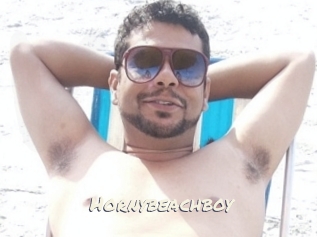 Hornybeachboy