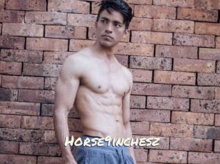 Horse9inchesz