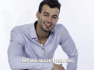 Howlinginthewind
