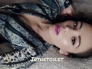 Inthetoilet