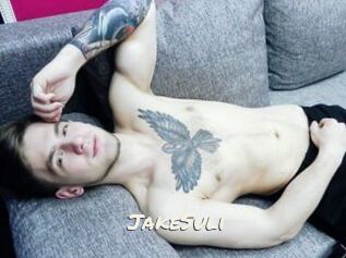 JakeSuli
