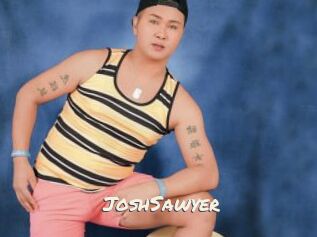 JoshSawyer