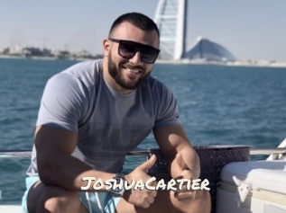 JoshuaCartier Vierges