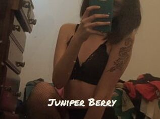 Juniper_Berry