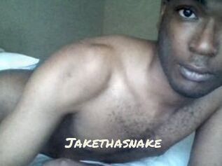 Jake_tha_snake