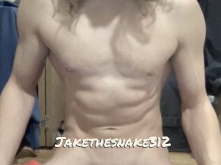 Jakethesnake312