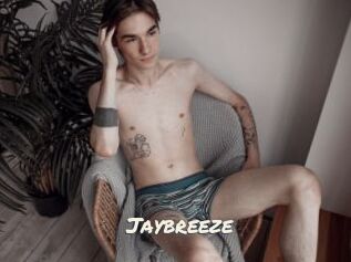 Jaybreeze