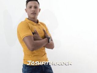 Joshfitbigcock