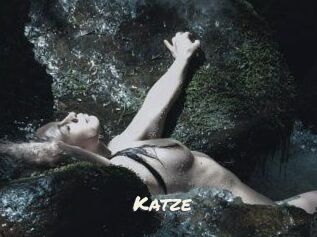 Katze