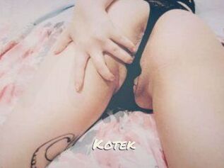 Kotek