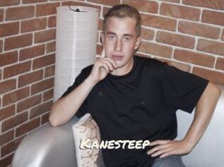 Kanesteep