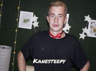 Kanesteepy