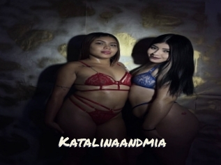 Katalinaandmia