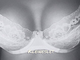 Kleineslet