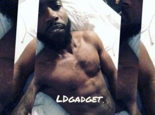 LDgadget