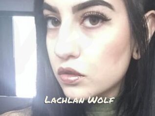 Lachlan_Wolf