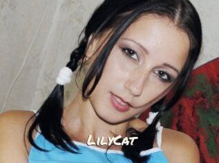 Lily_Cat_