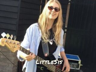 LittleSis