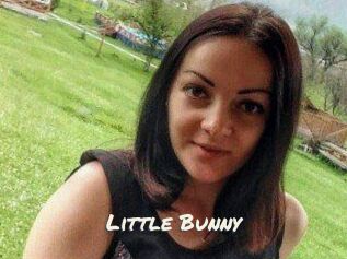 Little_Bunny_