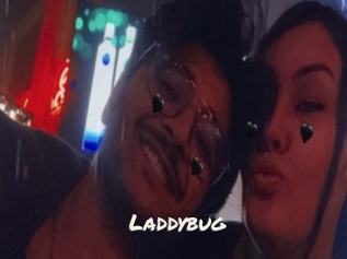 Laddybug