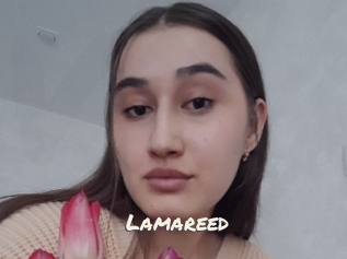 Lamareed