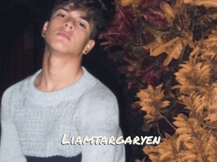 Liamtargaryen