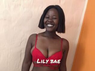 Lily_bae