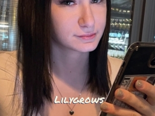 Lilygrows