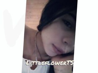 LittleflowerTS