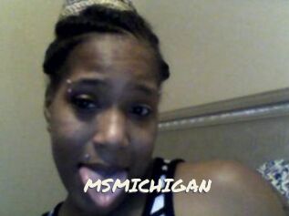 MSMICHIGAN