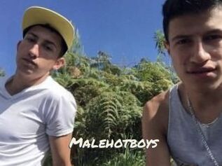 Malehotboys