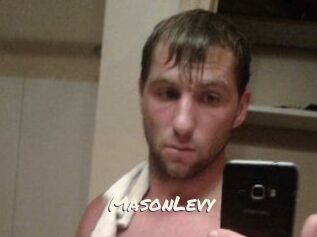 Mason_Levy