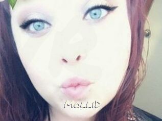 MolliD