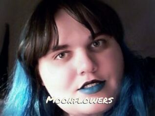 Moonflowers