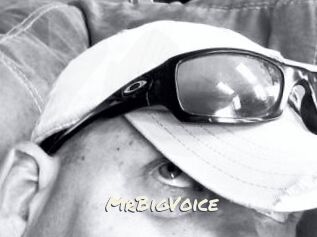 MrBigVoice