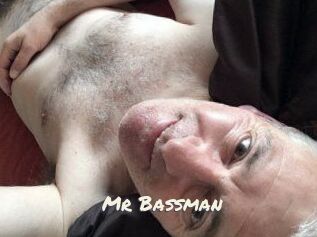 Mr_Bassman