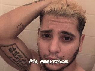 Mr_pervysage