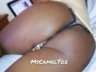 MsCamelToe