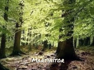 Martiaitor