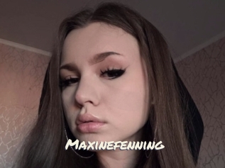 Maxinefenning