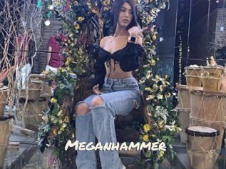Meganhammer