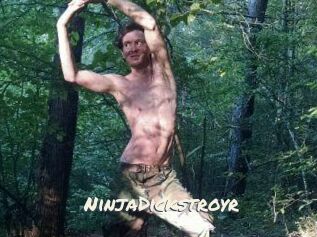 NinjaDickstroyr