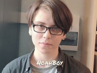 NoahBoy