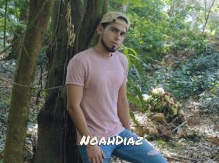 NoahDiaz