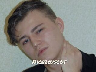 Niceboyscot
