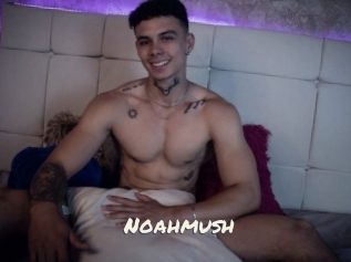 noahmush Vierges