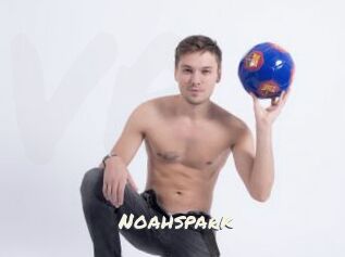 Noahspark