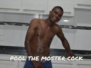 POOL_THE_MOSTER_COCK